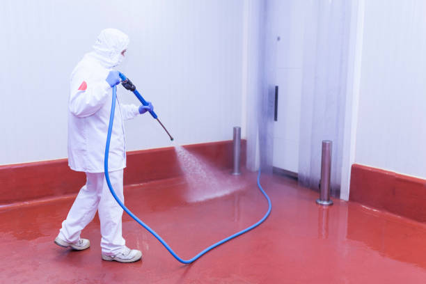 Reliable Carlsbad, CA Pressure Washing Services Solutions